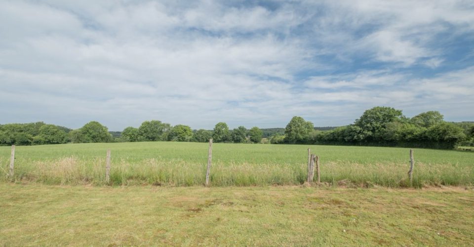 IF/ Immobilien Friederich