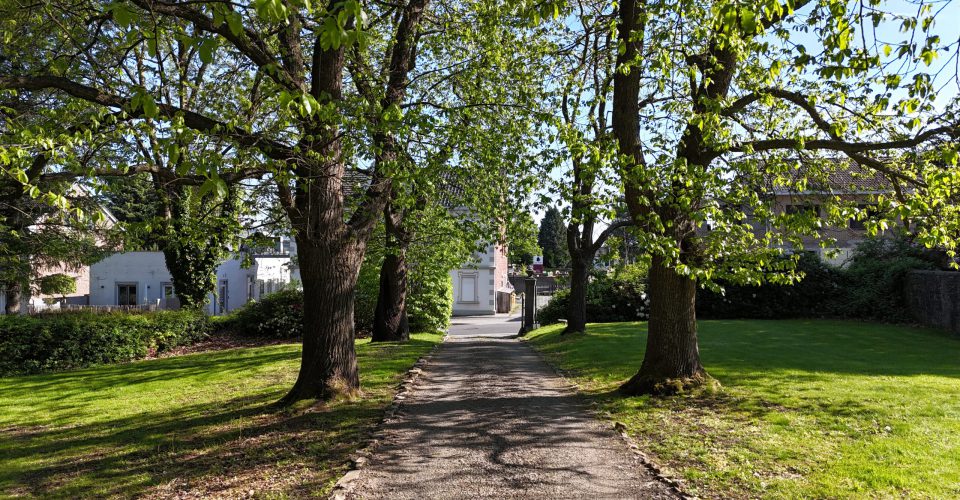 IF / Immobilien Friederich