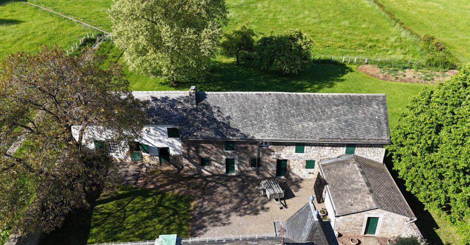 IF / Immobilien Friederich