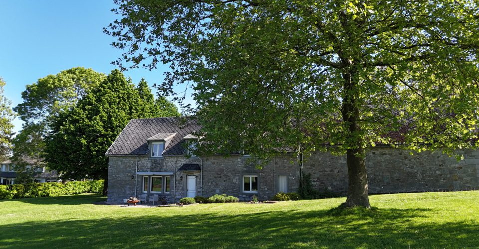 IF / Immobilien Friederich