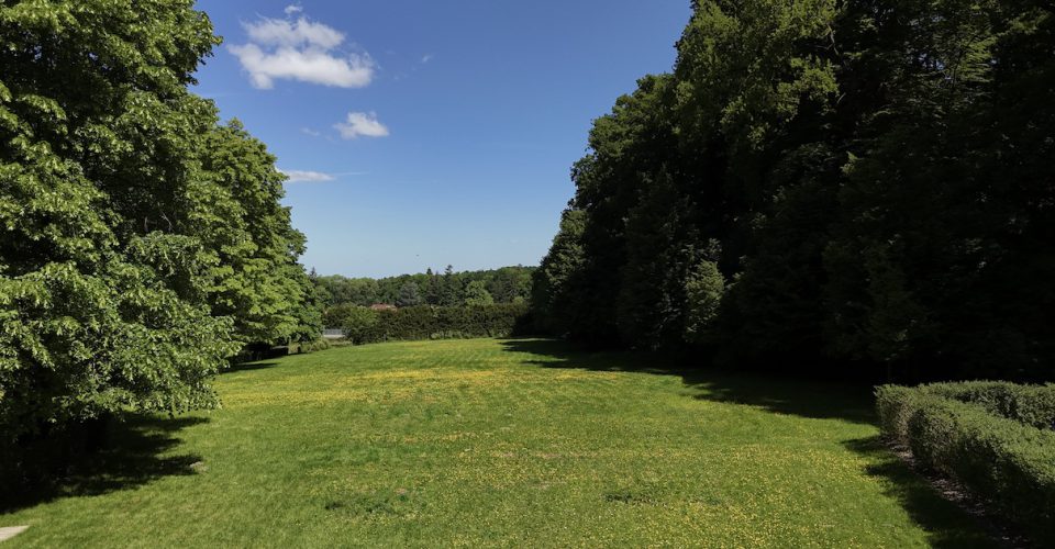 IF/ Immobilien Friederich