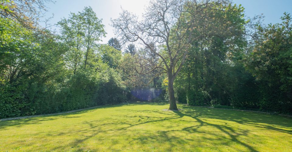 IF/ Immobilien Friederich
