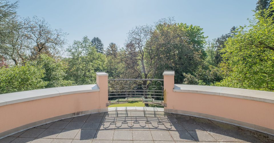 IF/ Immobilien Friederich