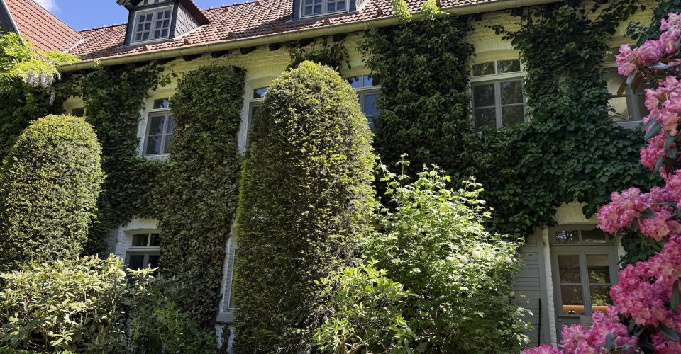 IF/ Immobilien Friederich