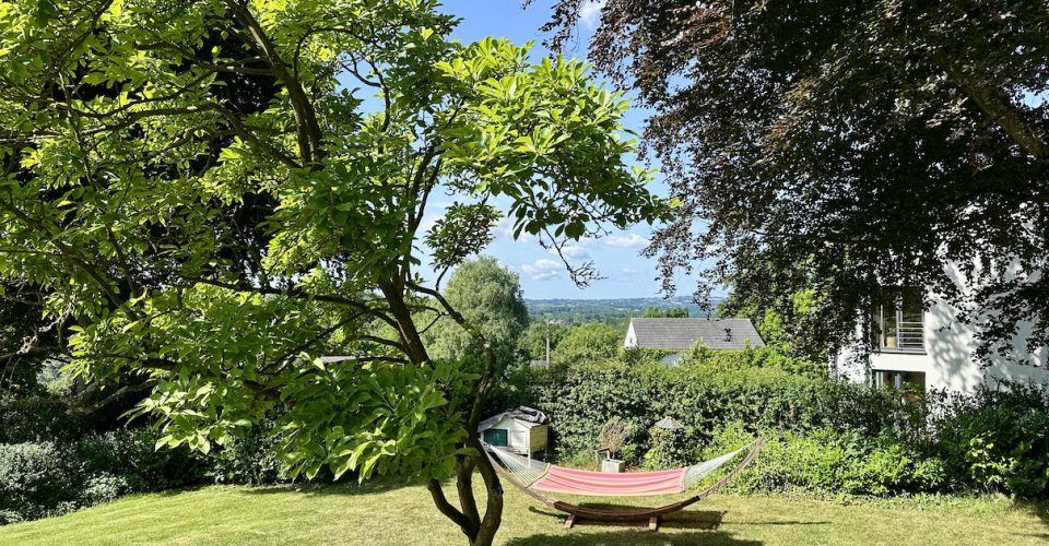 IF/ Immobilien Friederich