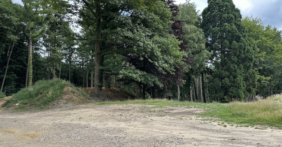 Blick in den Hauseter Wald